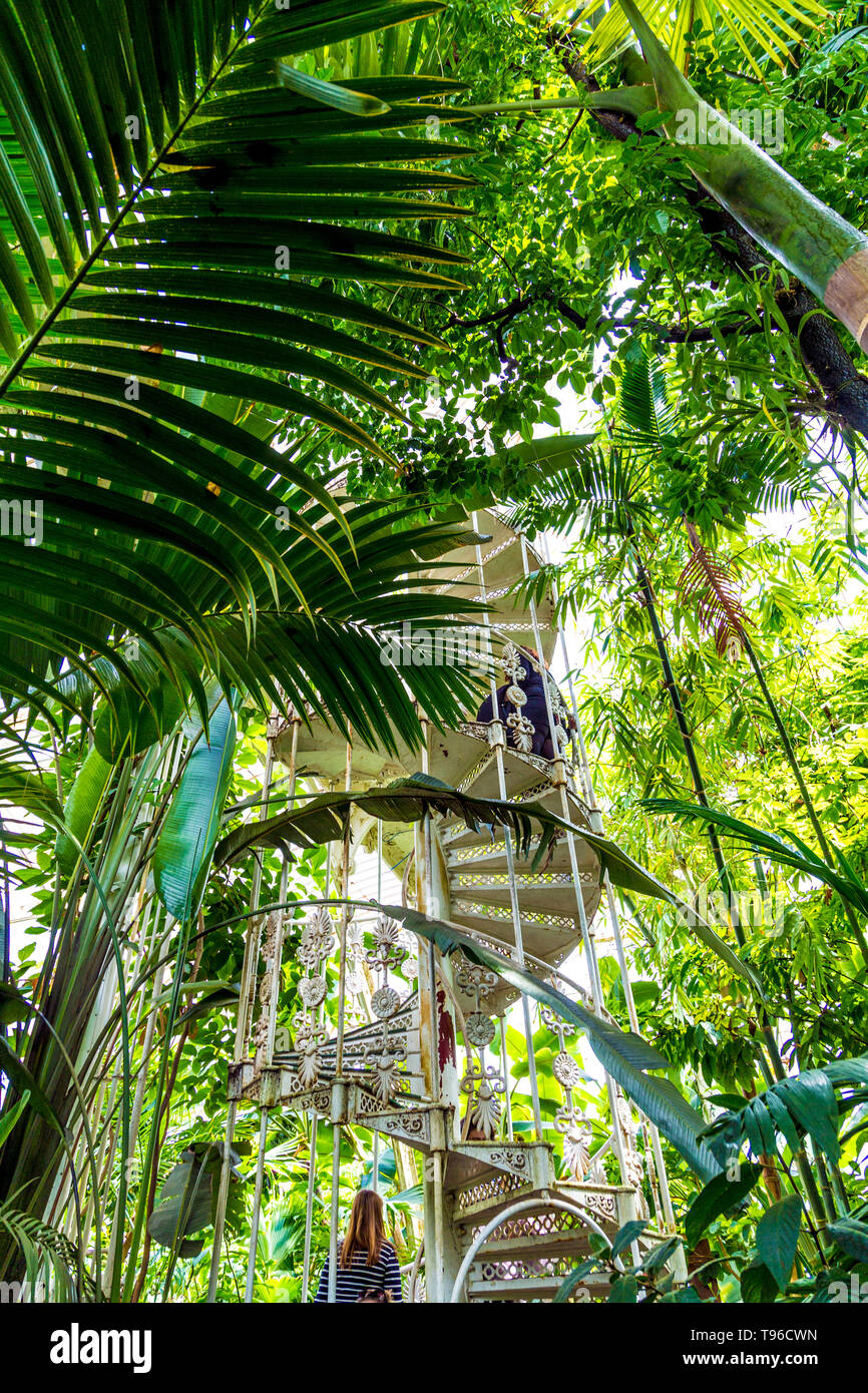 Scala a chiocciola in ferro battuto all'interno della Palm House, Kew Gardens, Londra, Regno Unito Foto Stock