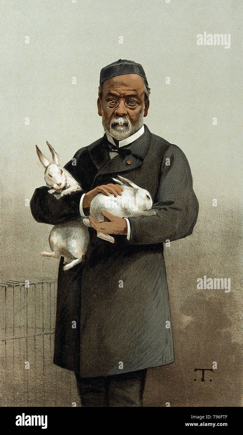 Louis Pasteur, con due conigli bianchi nelle sue braccia. Louis Pasteur (27 dicembre 1822 - 28 settembre 1895) era un chimico francese e bacteriologist che hanno fondato la scienza della microbiologia. Pascoli ha scoperto che la malattia possa essere causata da batteri trasmessi da persona a persona (la teoria del germe della malattia). Egli ha anche sviluppato i vaccini per la rabbia e il carbonchio. Pasteur ha anche riscontrato che leggermente il riscaldamento di cibi e bevande può preservarli da acidificazione. Foto Stock