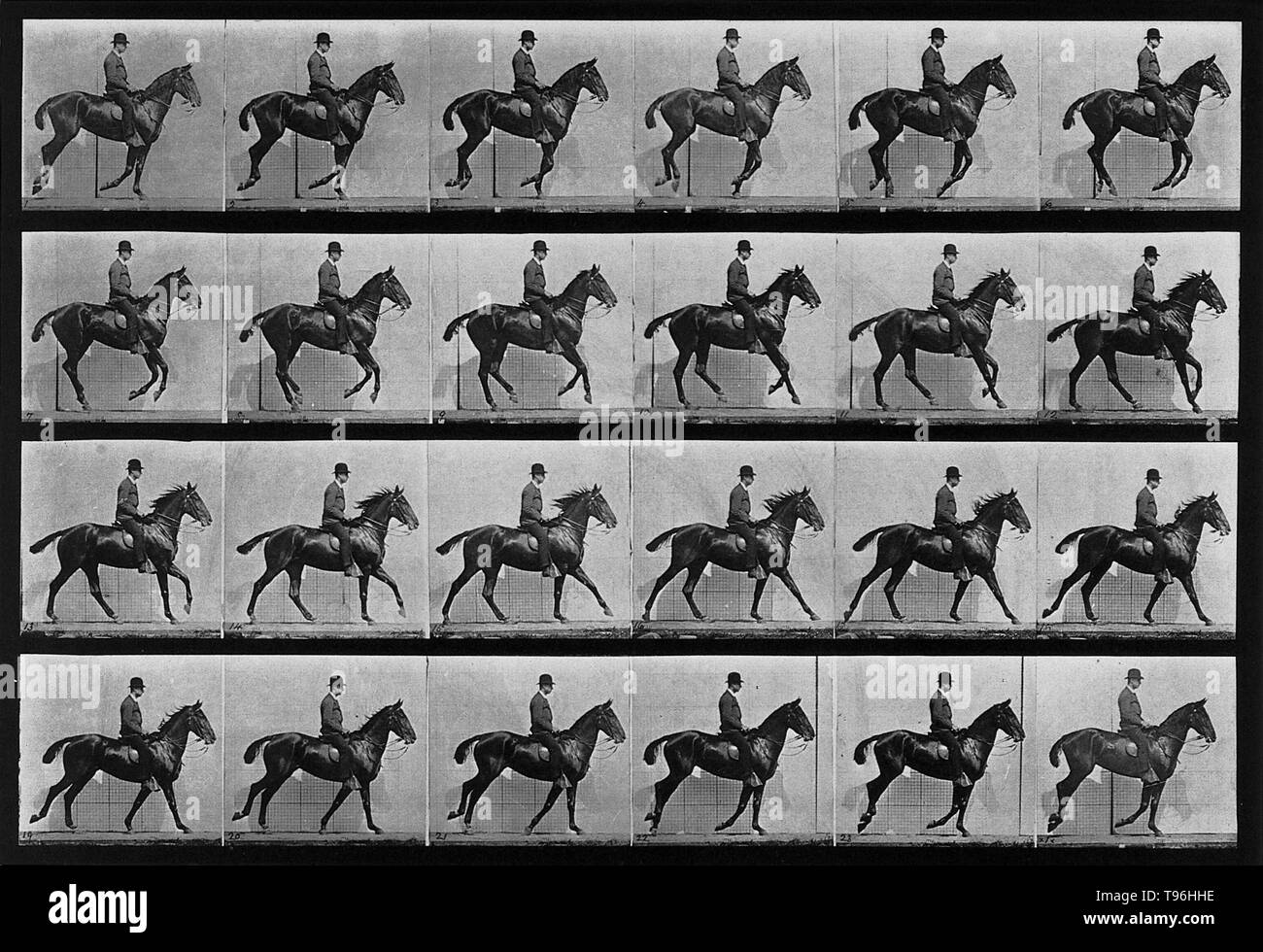 Un cantering cavallo e cavaliere. Più di sette cento studi di movimento in Muybridge la Locomozione animale serie gamma da indagini metodico delle azioni serrato di uomini e donne, e un vero e proprio bestiario di compendi di la più banale delle azioni della vita quotidiana. Progenitori di tecnologia filmico, Muybridge di sequenze, spesso riconfigurato per la leggibilità piuttosto che di rigorosa precisione, erano intesi sia per un esame scientifico e artistico inchiesta. Foto Stock