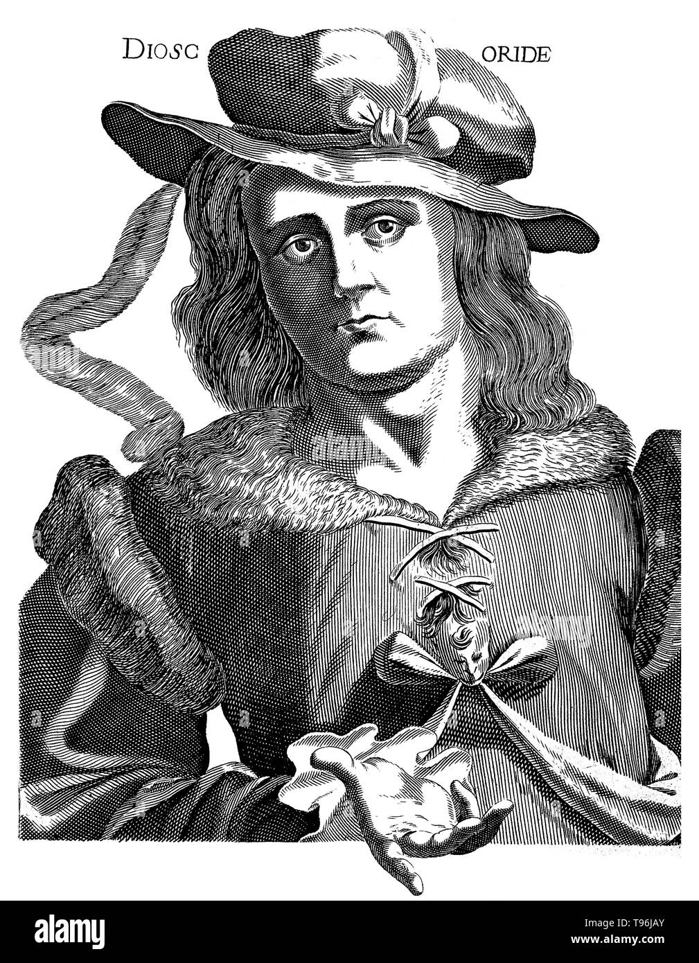 Pedanius Dioscoride (circa 40 - 90 AD) era un medico greco farmacologo e botanico. Ha praticato a Roma al tempo di Nerone. Egli fu un chirurgo con l'esercito dell'imperatore, così ha avuto la possibilità di viaggiare, cercando di sostanze medicinali (piante e minerali) provenienti da tutto il romano e il mondo greco. Egli è autore di De Materia Medica, una enciclopedia circa la medicina di erbe e relative sostanze medicinali che è stata ampiamente letto per più di 1.500 anni. Foto Stock
