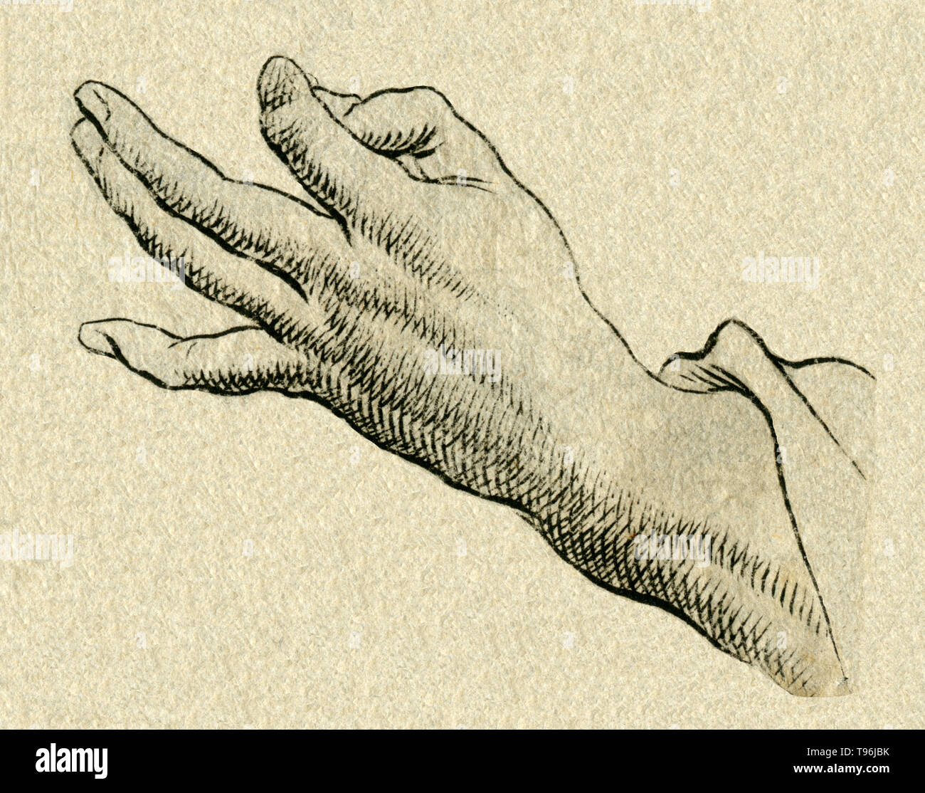 Europa, Medizin, Körperstudie, ' ' Handoberseite , Kupferstich, um 1700 , Künstler unbekannt . / Europa, medicina, il corpo di sostegno superiore ' della mano ' , Foto Stock