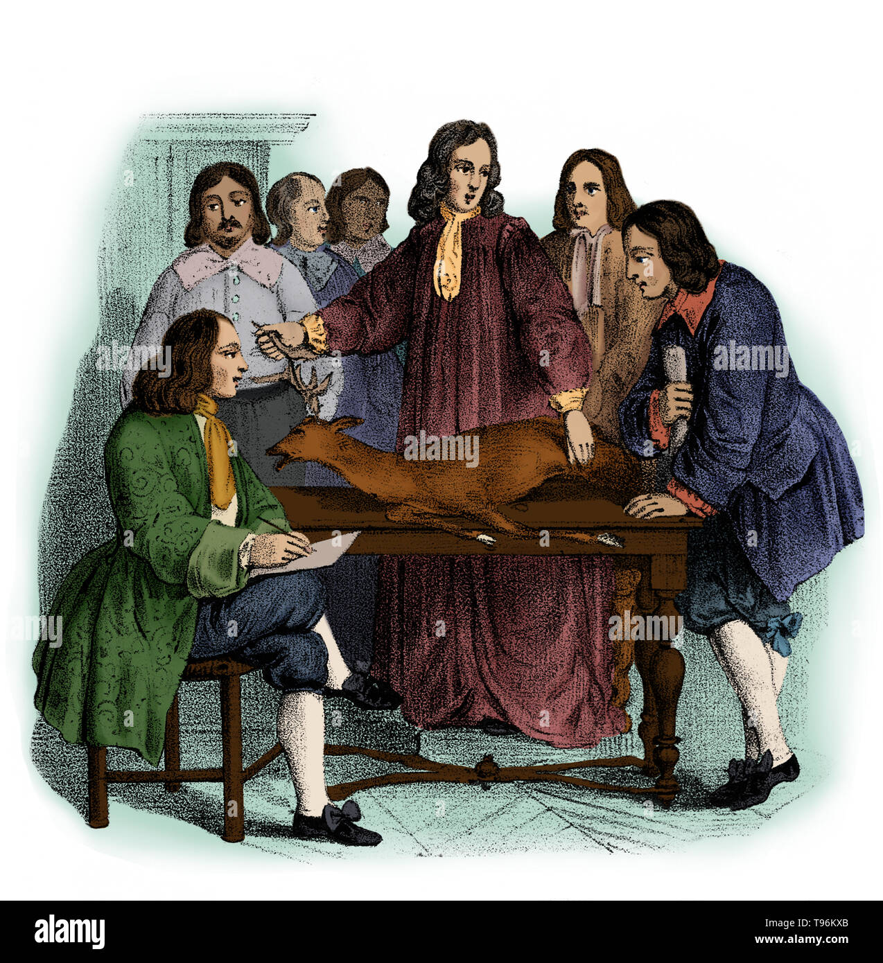William Harvey dimostrando con un cervo la circolazione del sangue ad un gruppo di studenti. William Harvey (Aprile 11, 1578 - 3 giugno 1657) era un medico inglese. Harvey è stata la prima persona a stabilire con precisione come il cuore fatto circolare il sangue in tutto corpi umani e animali e fu anche il primo a posit la teoria che gli esseri umani e altri mammiferi riprodotto quando un uovo è stato fecondato da sperma. Il suo lavoro 'De Motu Cordis, pubblicato nel 1628, rimane una pietra miliare nella scienza. Foto Stock