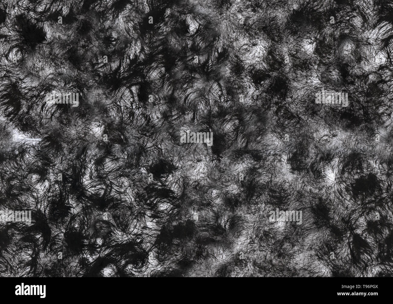 Fluffy seamless pattern. Sfondo di inchiostro con la tessitura di lana e peli. Foto Stock