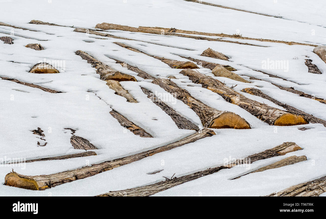 Legno su terreno congelato Foto Stock
