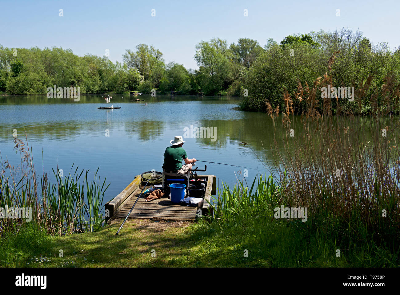 Il pescatore a Sugar Mill stagni, Rawcliffe Bridge, East Yorkshire, Inghilterra, Regno Unito Foto Stock