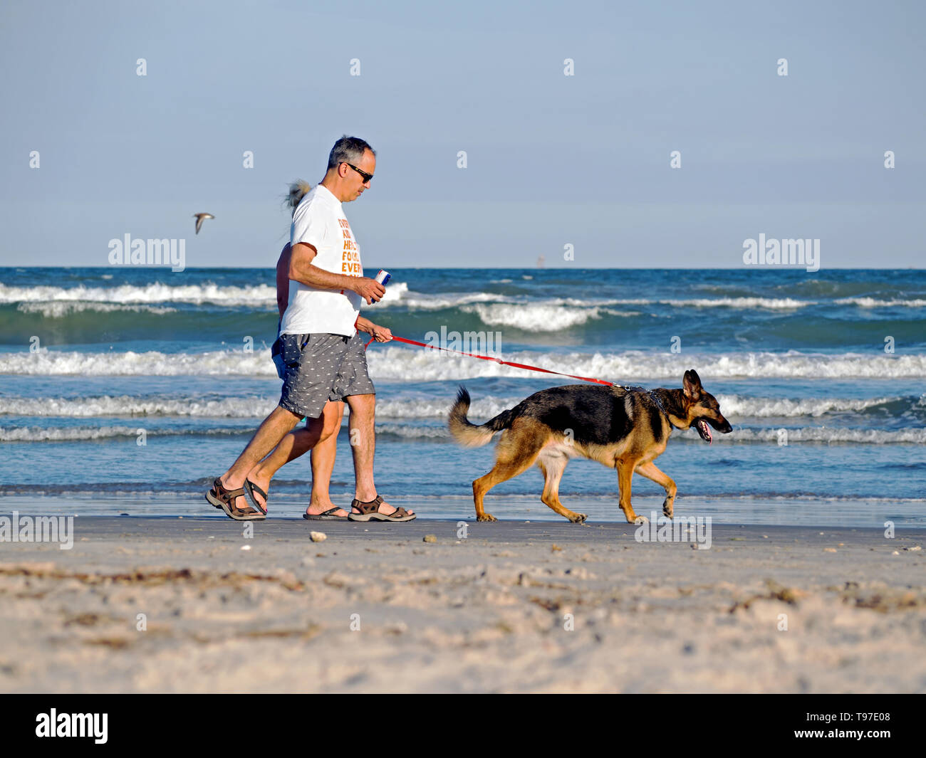 Una mezza età coppia caucasica passeggiate un pastore tedesco cane sulla spiaggia durante l ora d'oro in Port Aransas, Texas, Stati Uniti d'America. Foto Stock