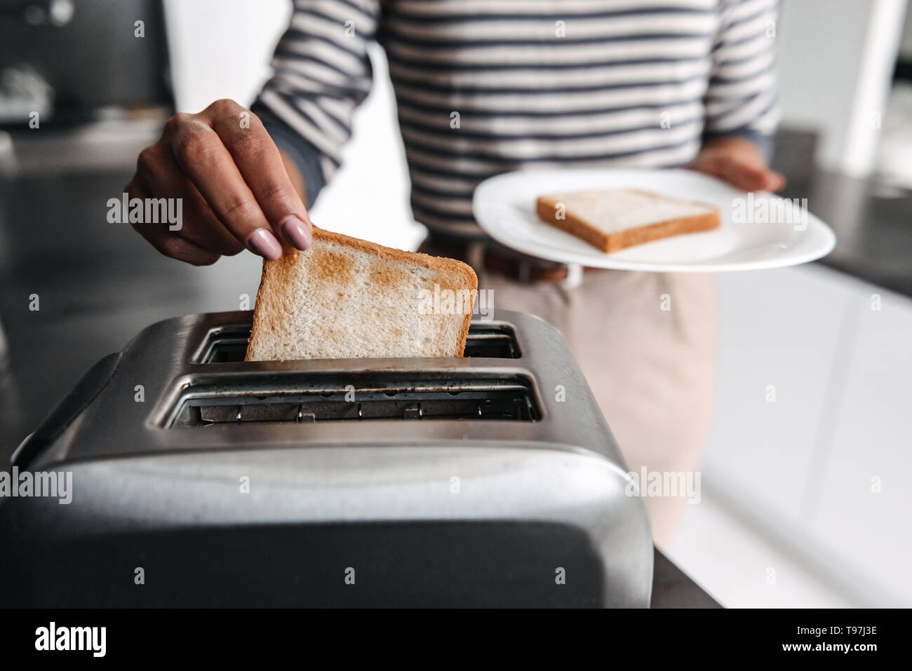 Toaster Strudel Porn