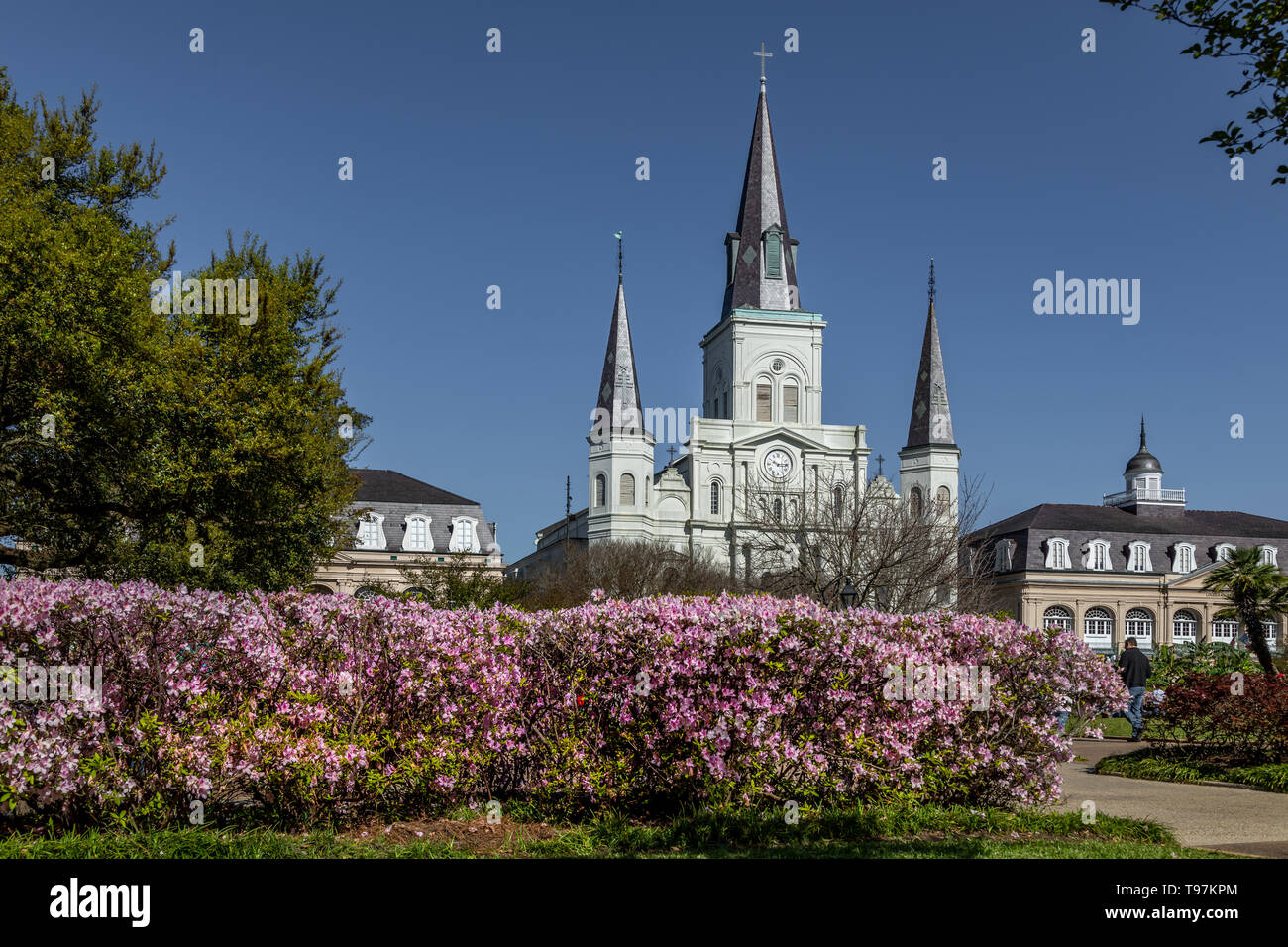 St Louis Cathedral Foto Stock