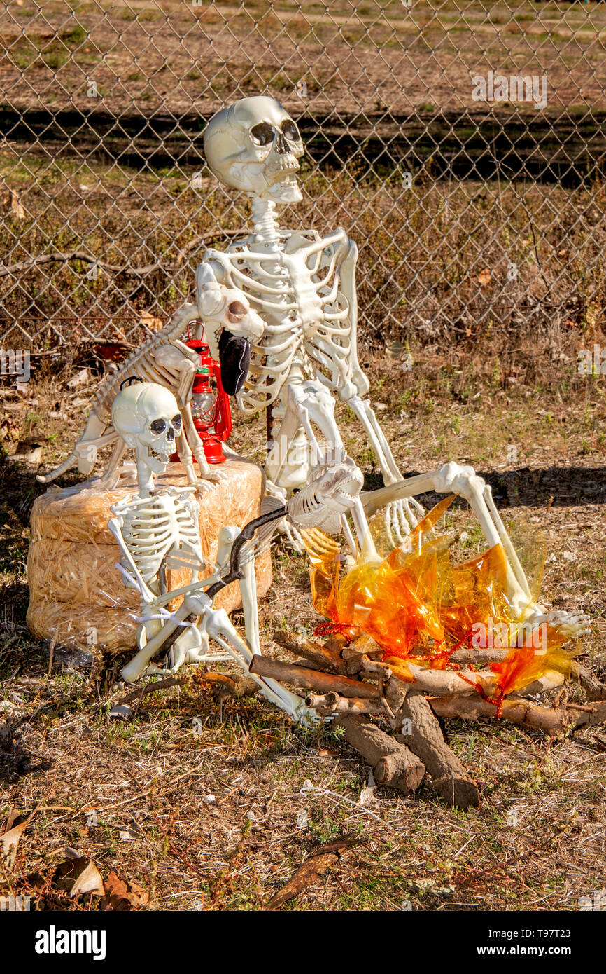 Pesci, animale e scheletri umani salutare modello di treno passeggeri durante un weekend di festa di Halloween in un Costa Mesa, CA, parco. Foto Stock