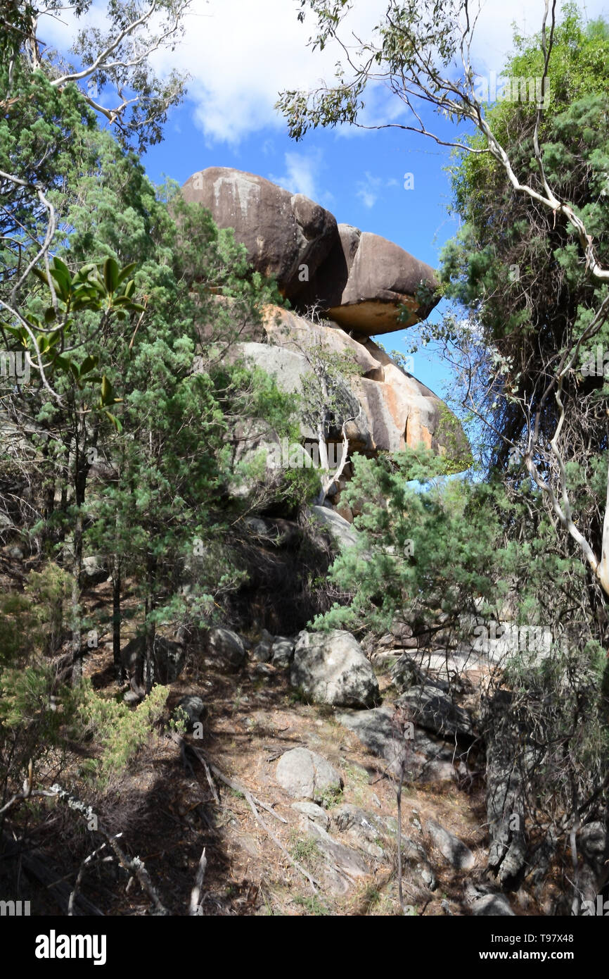 Due massi vacillando oltre il bordo di una scogliera in una foresta temperata a nord di Tamworth Australia. Foto Stock