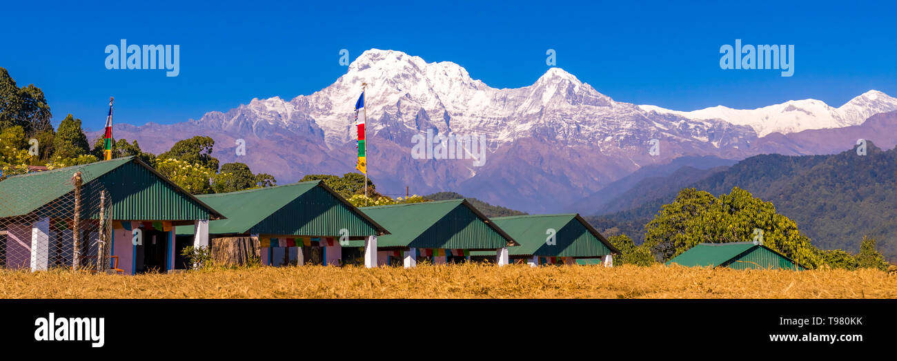Annapurna mountain vista panoramica dalla Australian base camp Nepal.isolato cielo blu e bandiere prayar. Foto Stock