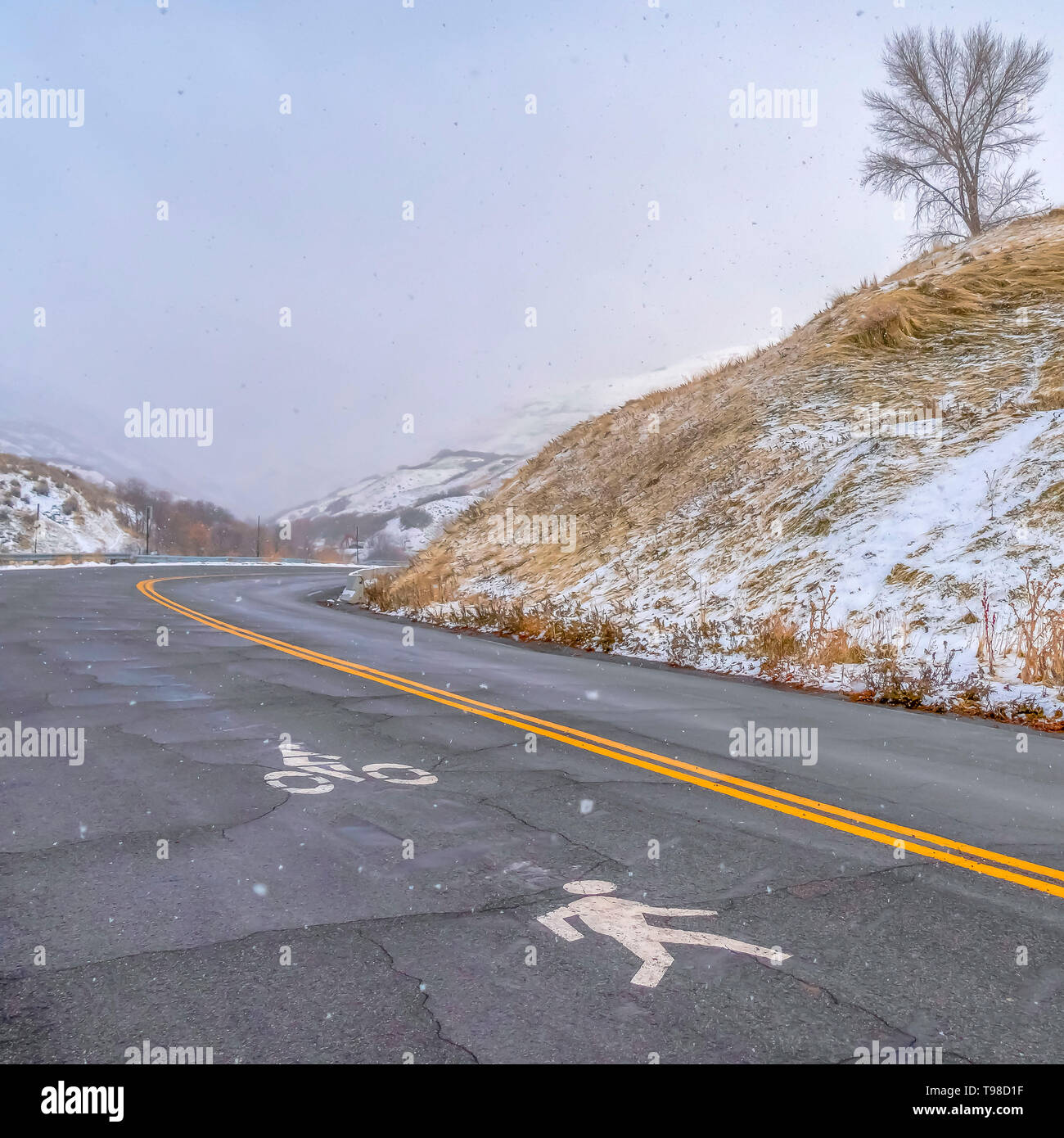 Square Hill Road con pedoni e biciclette segno di corsia Foto Stock