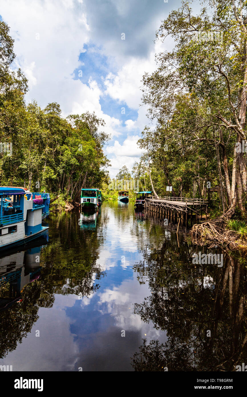 Klotok galleggiante sull'acqua nera fiume appena al di fuori del Camp Leakey, la più famosa stazione di alimentazione per orangutan all'interno di Tanjung messa National Pa Foto Stock
