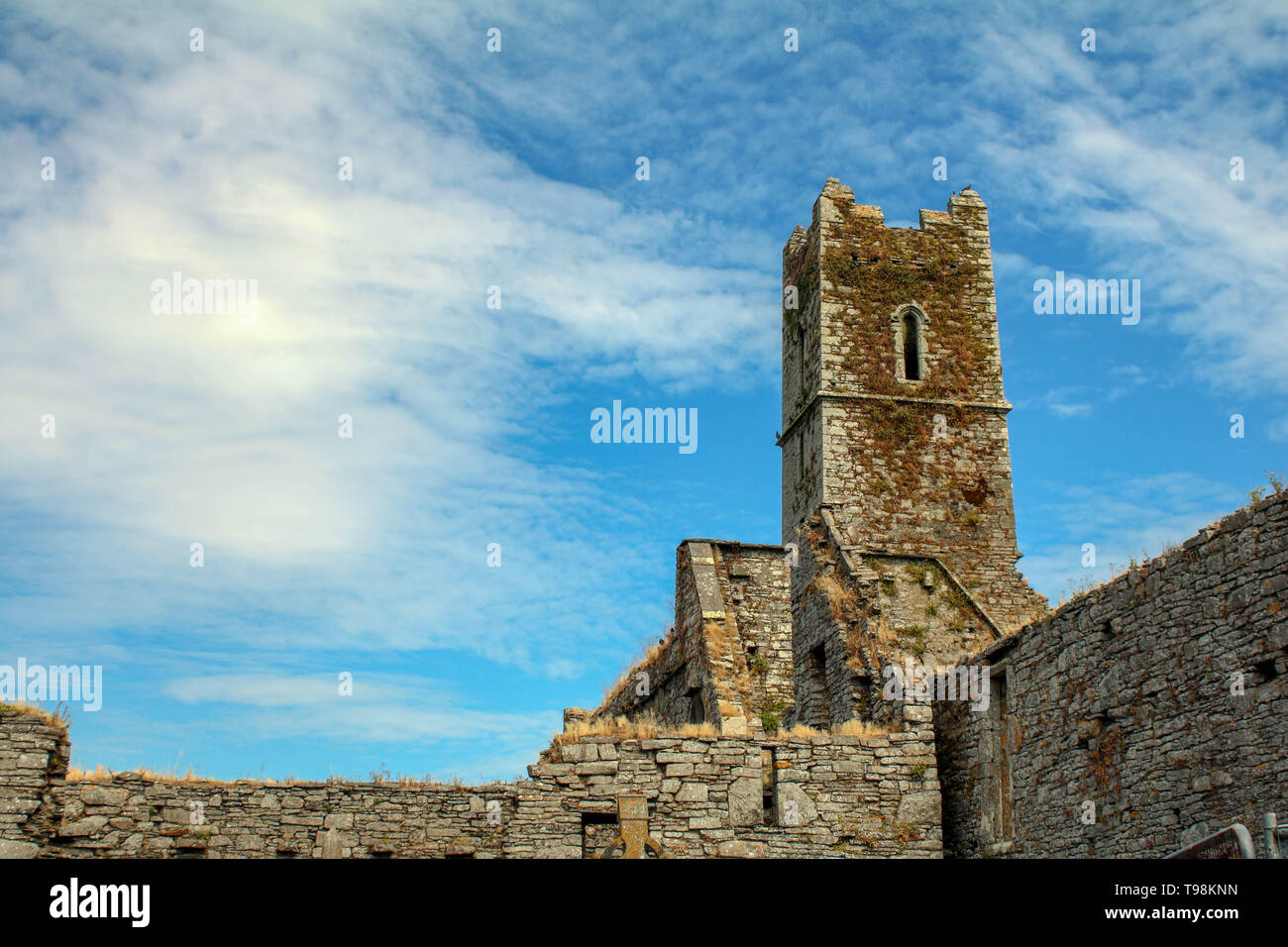 Timoleague Abbey West Cork in Irlanda Foto Stock