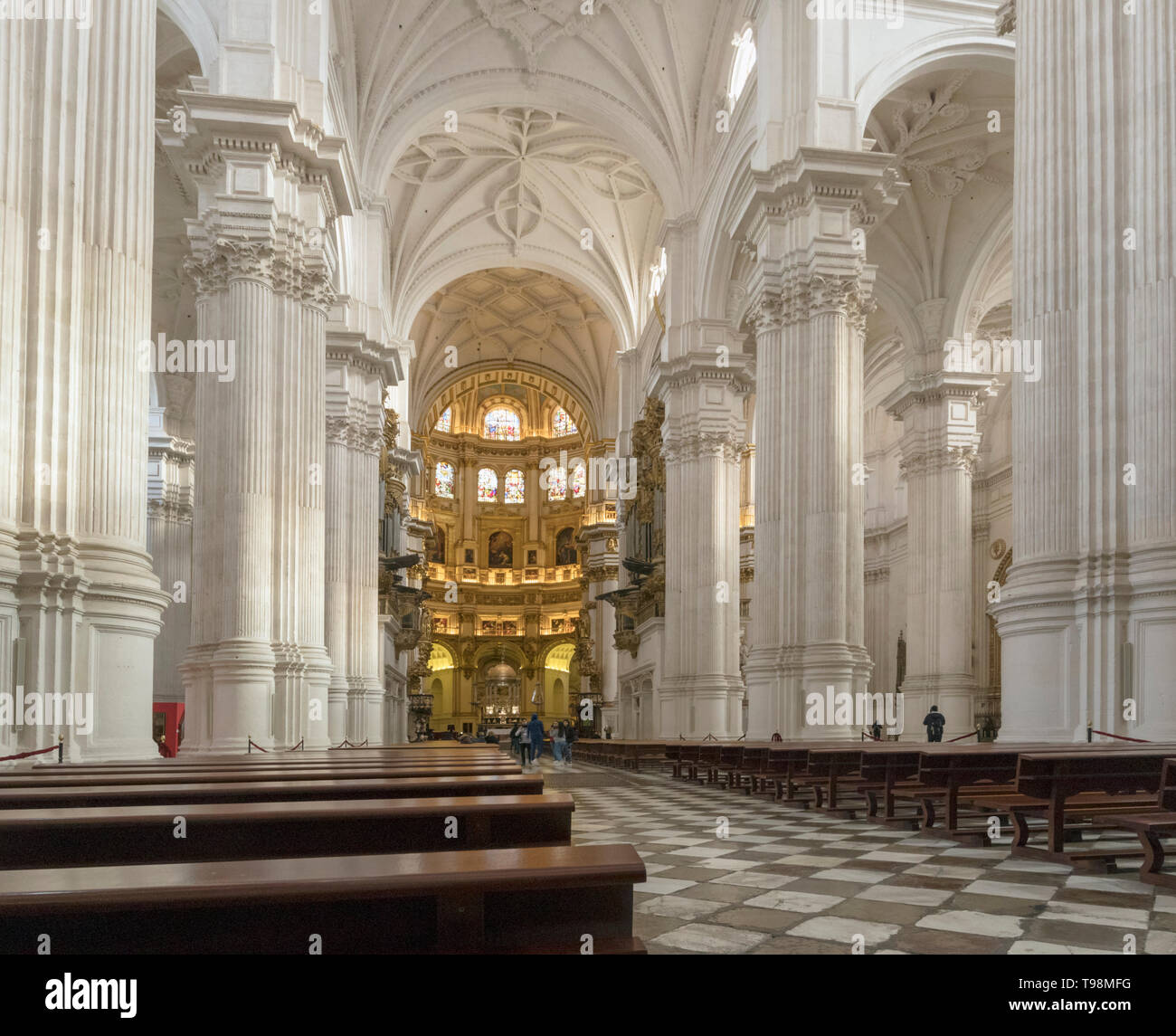 La navata centrale del Duomo. Nome completo, Santa Iglesia Catedral Metropolitana de la Encarnacion, o Cattedrale Metropolitana di incarnazione, Granada, Foto Stock