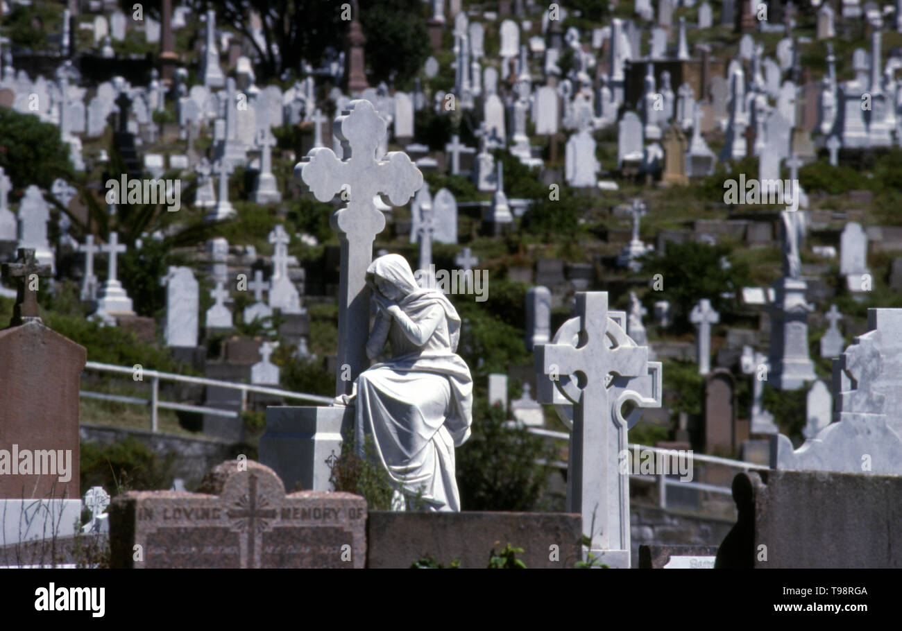 Tombe e lapidi, cimitero di Waverley, Sydney, Nuovo Galles del Sud, Australia. Foto Stock