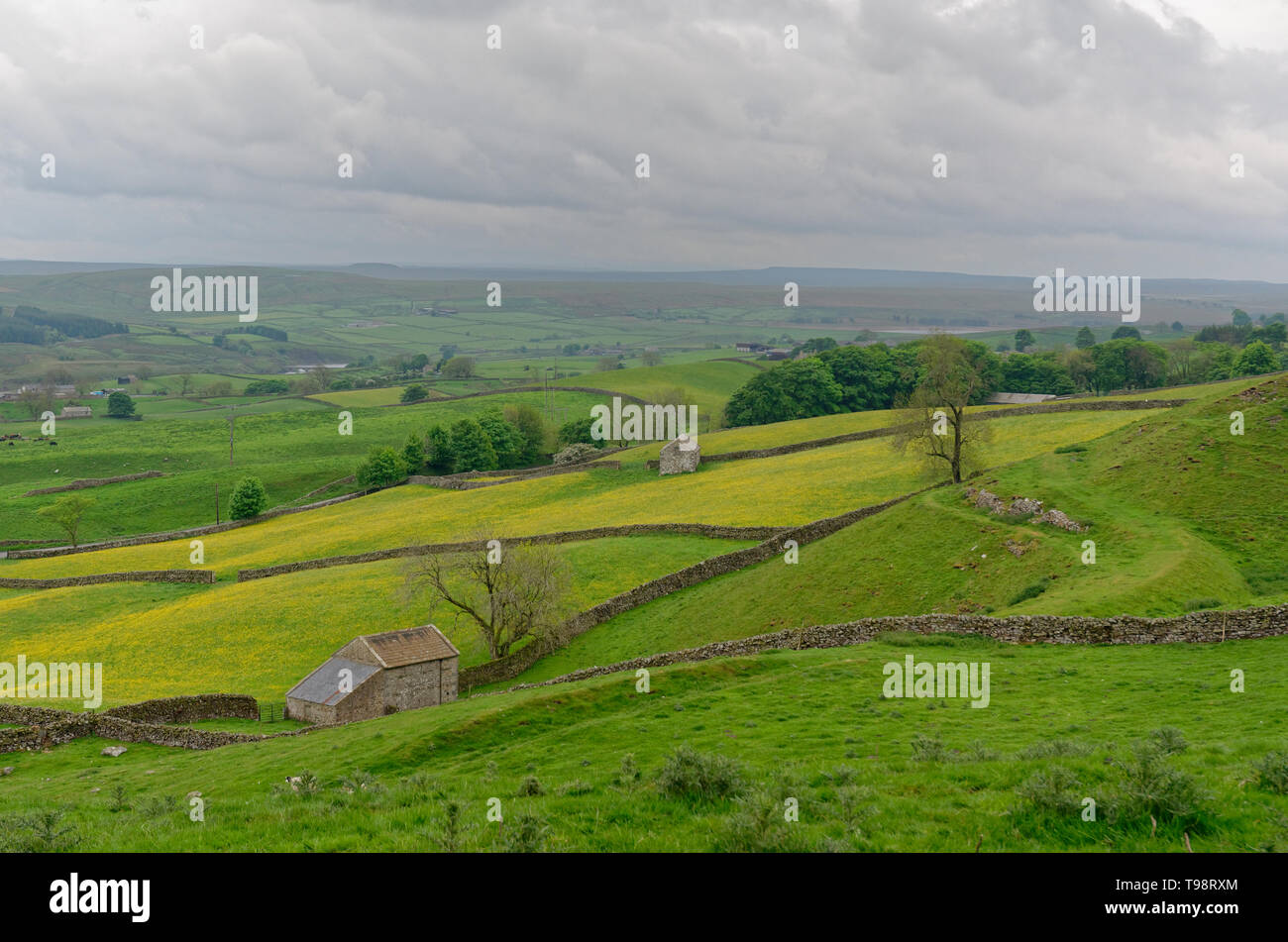 Terreni agricoli vicino Kirkcarrion, Middleton in Teesdale, Yorkshire Dales, Inghilterra Foto Stock