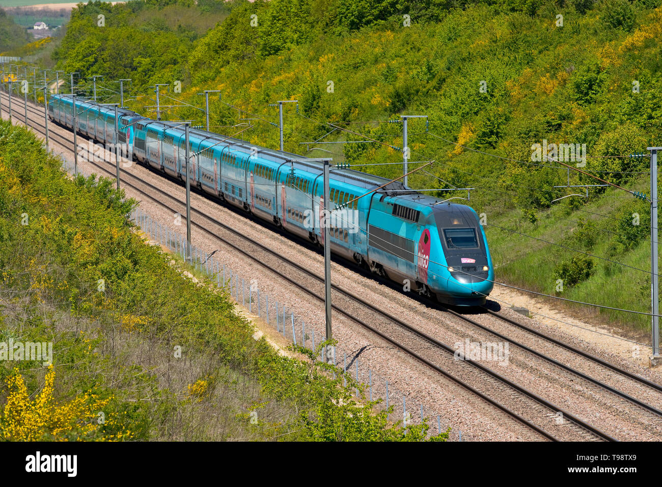 TGV Ouigo Dasye nel LGV Sud Est in Yonne, Borgogna, Francia Foto Stock