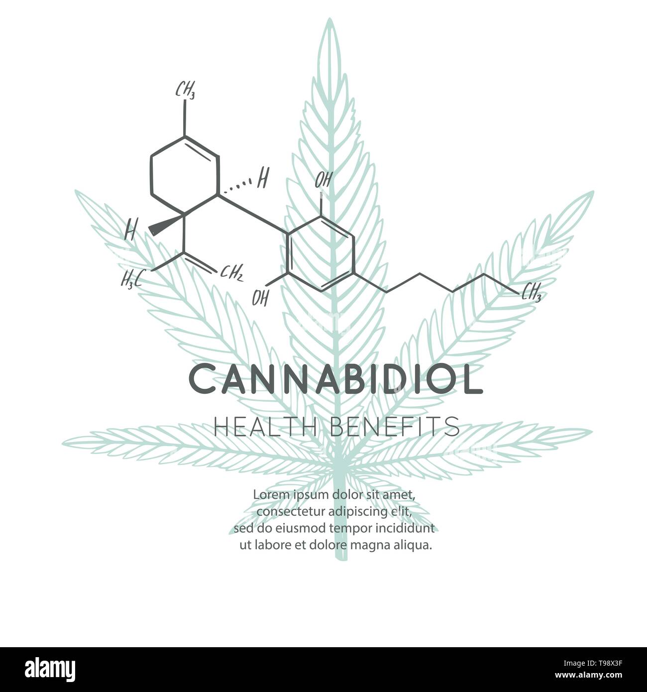 Sfondo vettoriale, banner, poster con formula CBD. Cannabis leaf in medecine concetto. Benefici per la salute Illustrazione Vettoriale