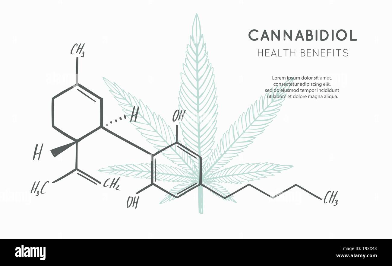 Sfondo vettoriale, banner, poster con formula CBD. Cannabis leaf in medecine concetto. Benefici per la salute Illustrazione Vettoriale