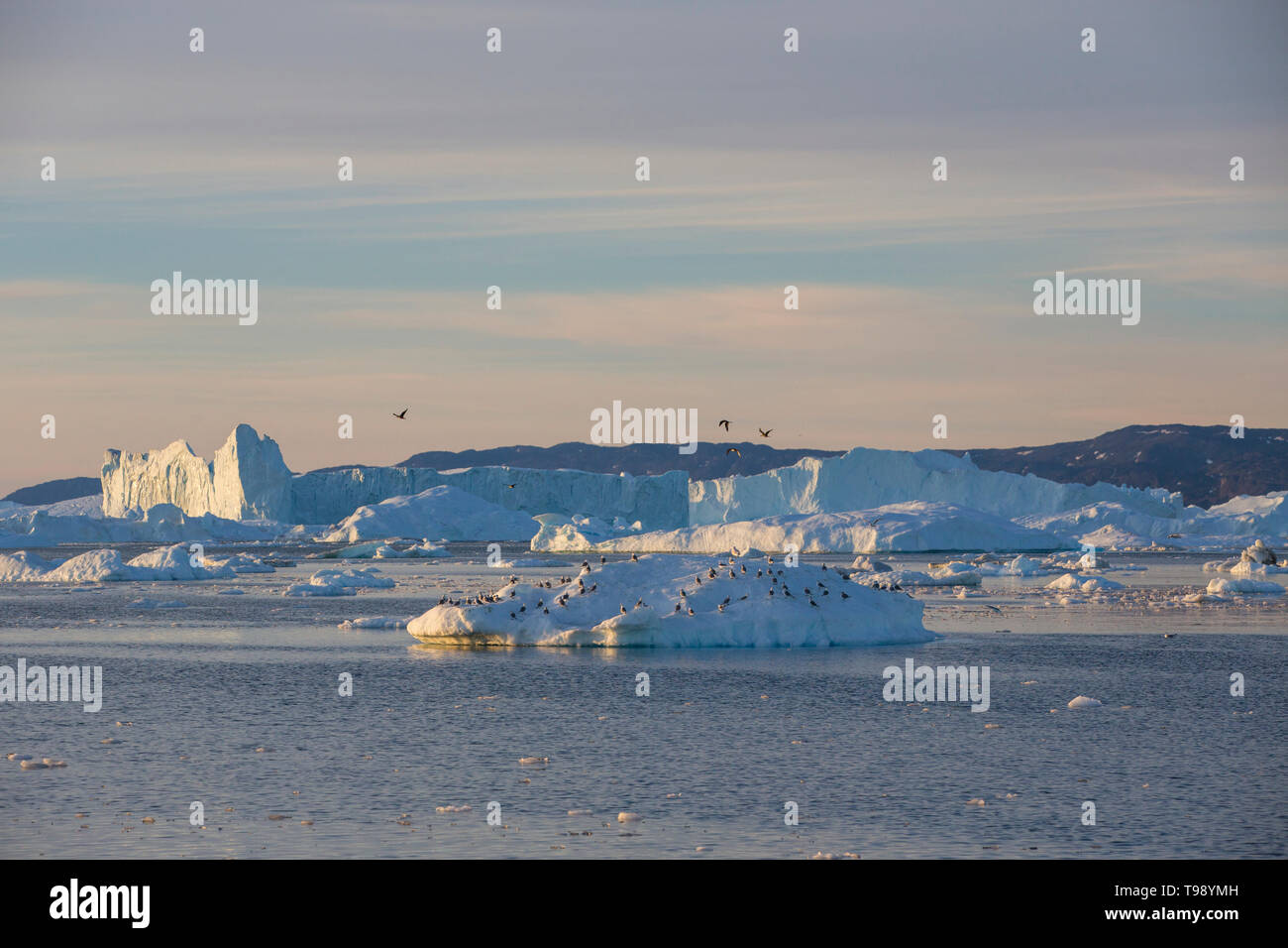 Iceberg nella baia di Disko su Midsummer, Groenlandia Foto Stock