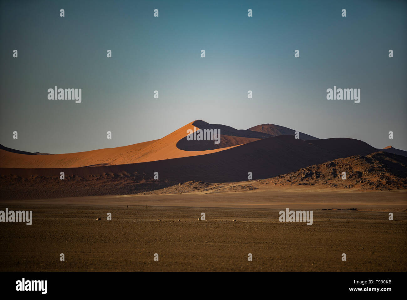 Le dune più grandi del mondo, Sossusvlei, Namibia, Africa Foto Stock