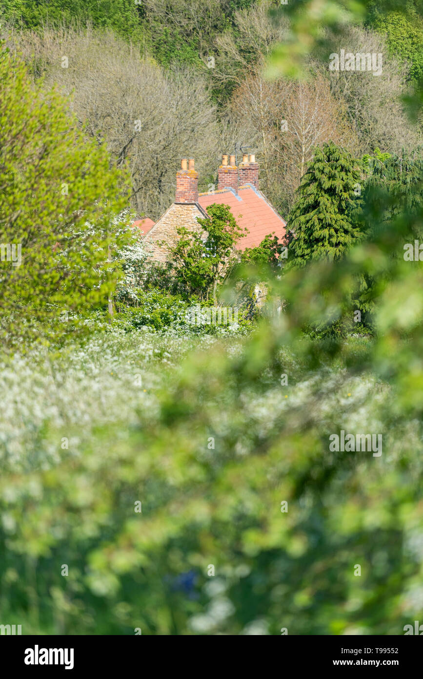 Il tetto di una casa colonica in Yorkshire Regno Unito in parte nascosta tra alberi e bosco in un ambiente rurale Foto Stock