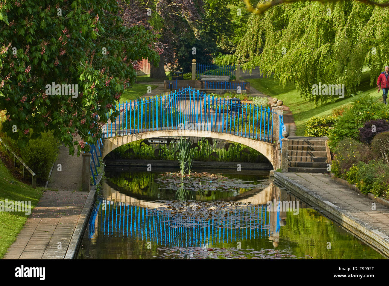 Blue bridge over Abbey Park Lake a Evesham, England, Regno Unito, Europa Foto Stock