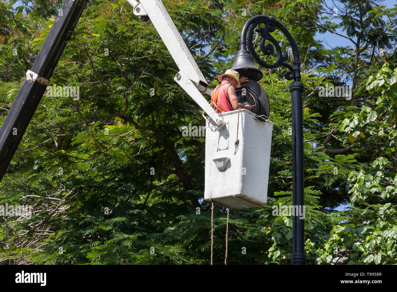 Un lavoratore cubano in un cherry picker piattaforma di lavoro aerea effettua riparazioni e lavori di manutenzione su impianti di illuminazione stradale a l'Avana, Cuba Foto Stock