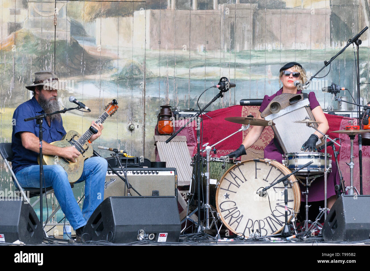 Hat Fitz e cara Robinson effettuando al Larmer Tree Festival, UK. Luglio 19, 2014 Foto Stock