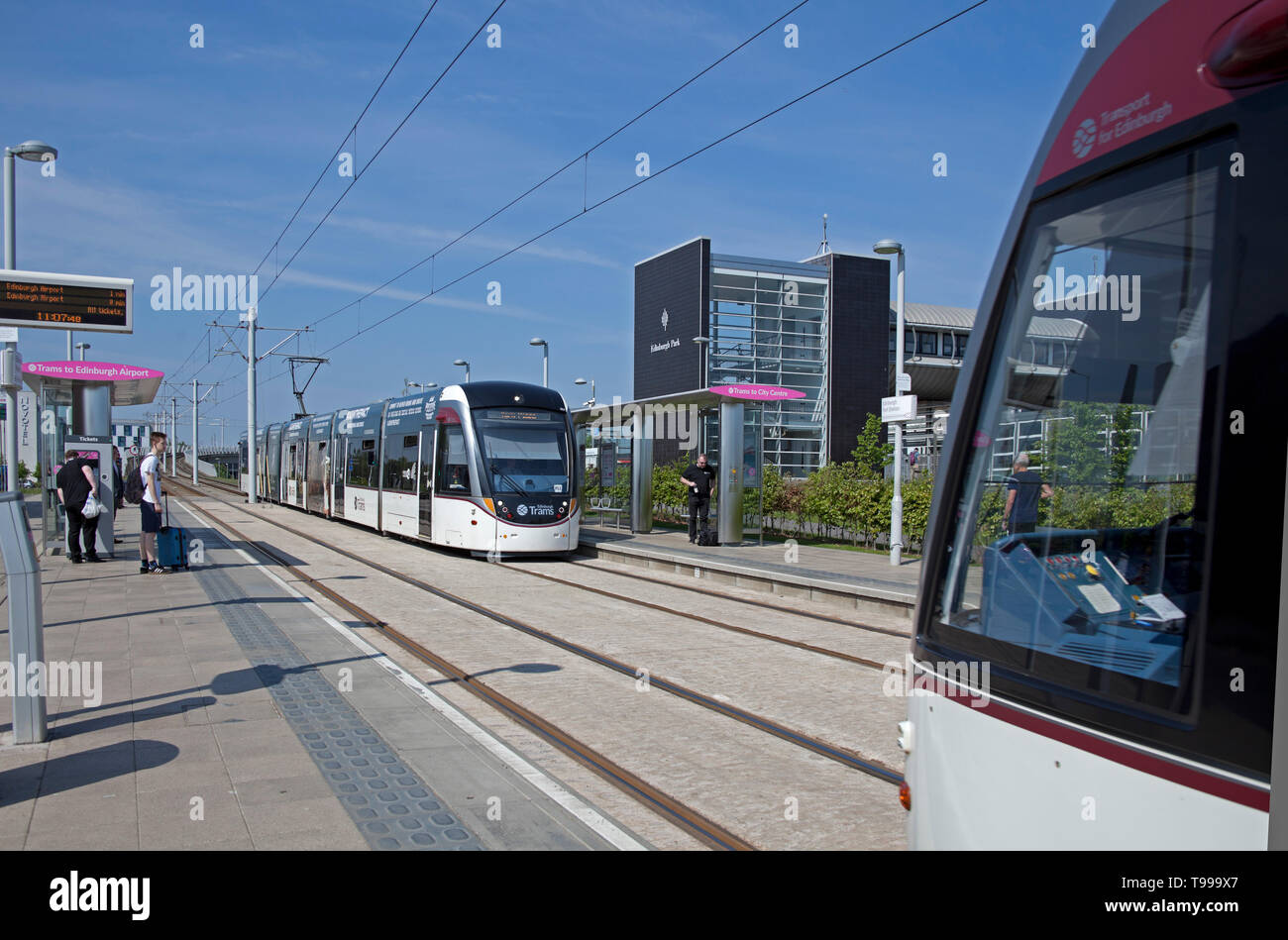 Edinburgh Tram avvicinando Edinburgh Park stop, Scotland, Regno Unito Foto Stock