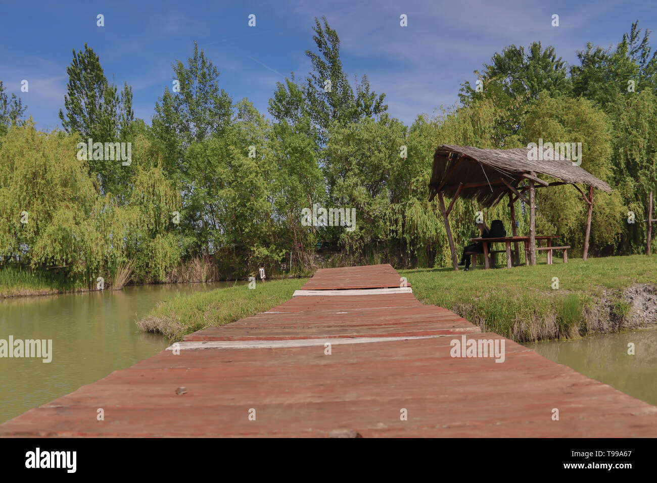 Piccolo parco a lago con un piccolo ponte di legno Foto Stock