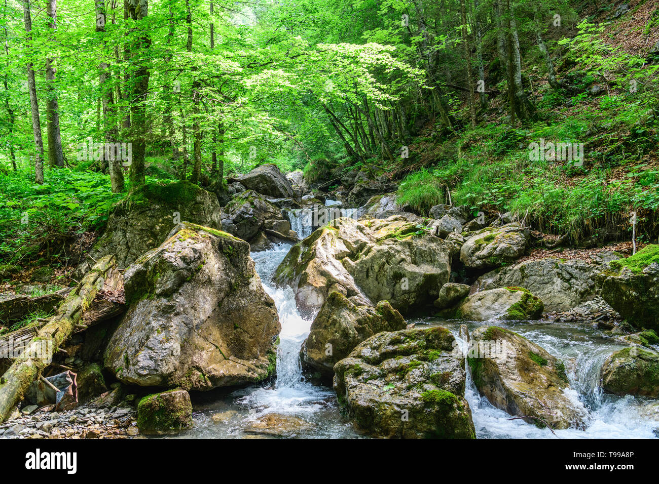 Imponente cascata del piccolo fiume dietersbach in Hölltobel vicino a Oberstdorf Foto Stock