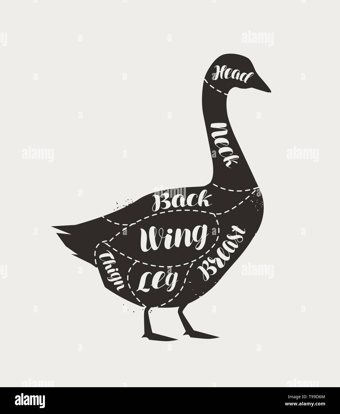 Taglio di carne, d'oca. Poster schema di macellaio e schema, vettore Illustrazione Vettoriale