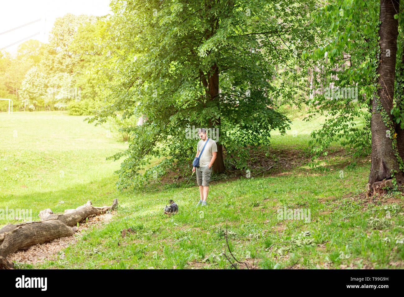 Uomo sorridente con il cane godendo in posizione di parcheggio Foto Stock