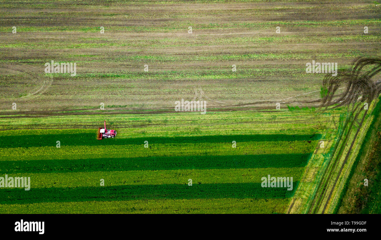 Rosso la mietitrebbia sul campo di fattoria di fotografia aerea Foto Stock