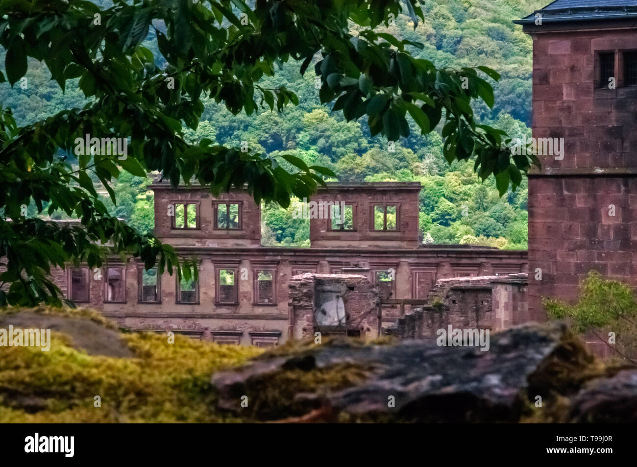 Heidelberg, Germania: la città e il castello. Foto Stock