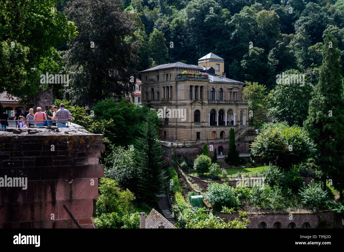 Heidelberg, Germania: la città e il castello. Foto Stock