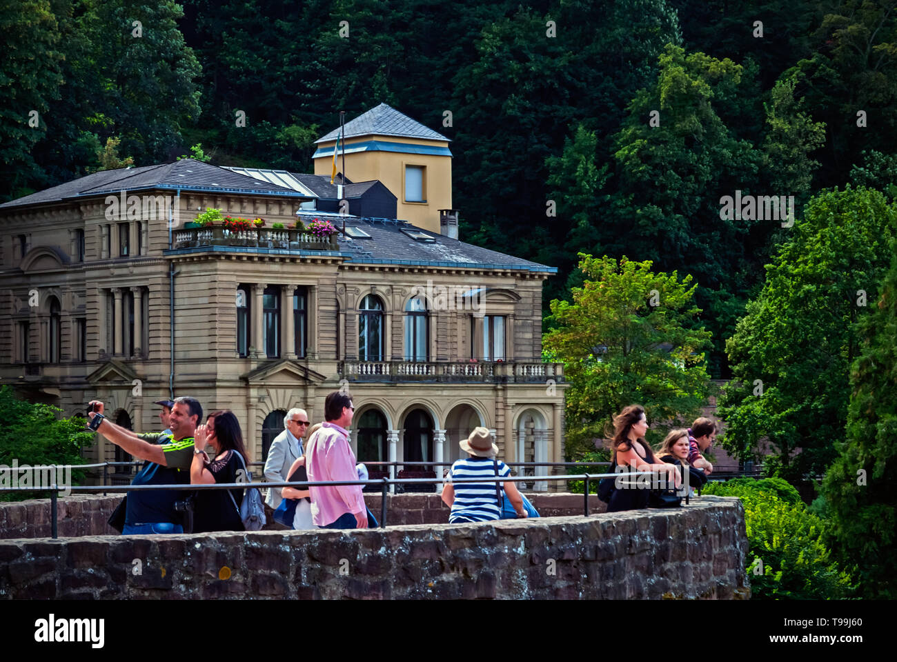 Heidelberg, Germania: la città e il castello. Foto Stock