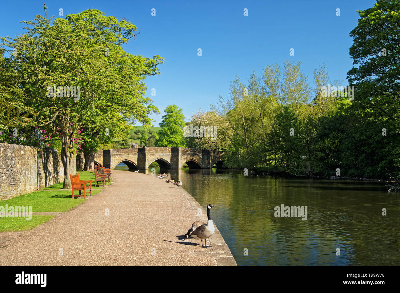 Ponte sul fiume Wye a Bakewell,Derbyshire,Peak District Foto Stock