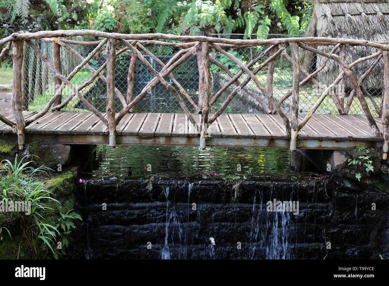 Piccolo ponte di legno si trova in una foresta nell'isola di Madeira. Al di sotto del ponte vi è una mini cascata ed alcune piante verdi. Foto Stock