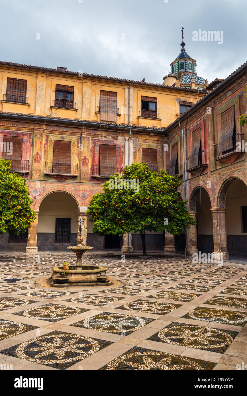 Cortile interno dell'Ospedale San Juan De Dios a Granada, con alberi di arancio e la basilica. Foto Stock