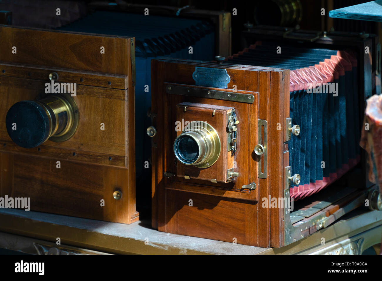 Legno di antiquariato fotografia macchine sono in vendita in un negozio Foto Stock