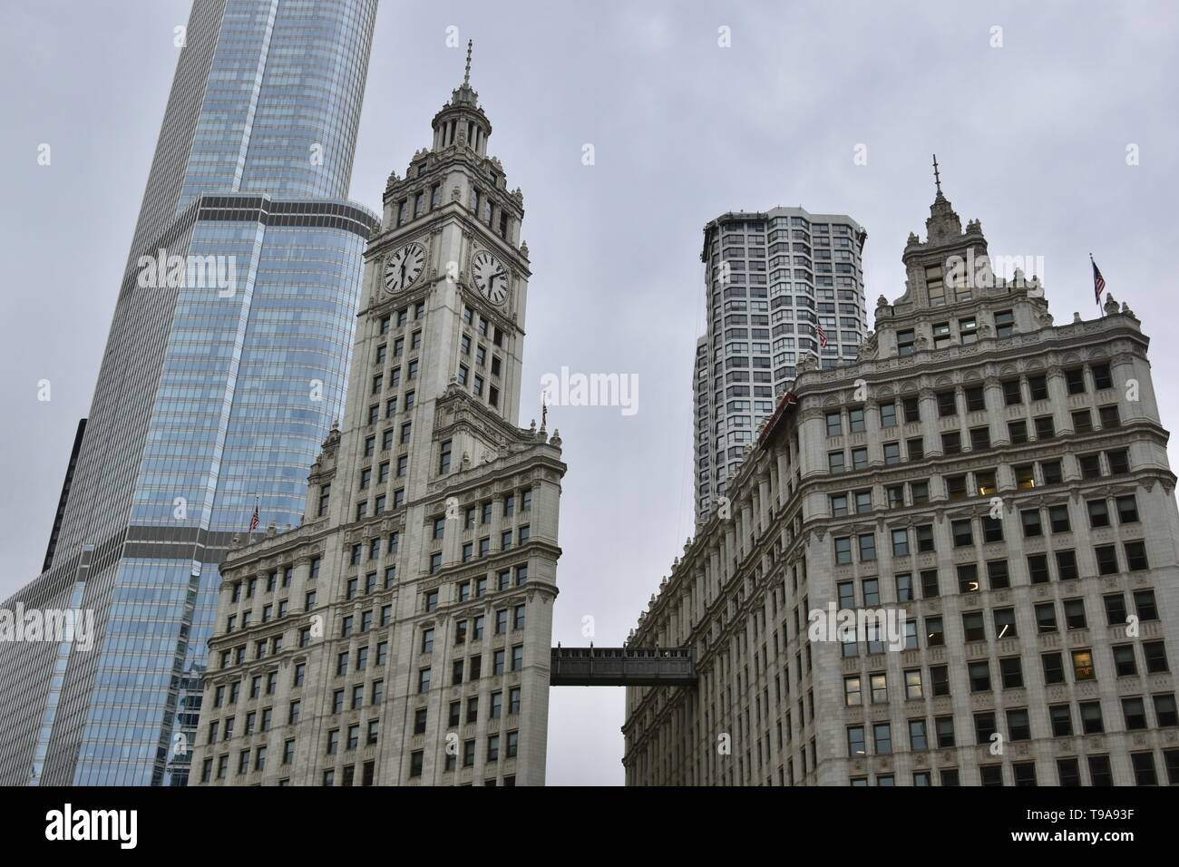 Chicago iconici Wrigley Building lungo il fiume Chicago nel vicino al lato nord di fronte il Chicago Tribune Building sul Magnificent Mile, il Foto Stock