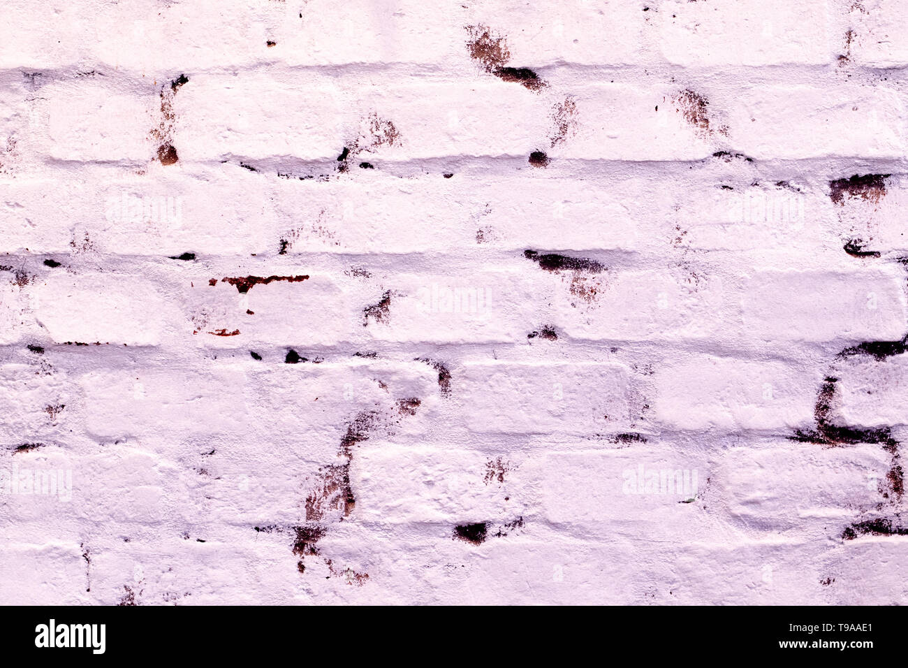 Bianco parete di mattoni Texture.shabby chic stile.vintage.loft idea di decorazione building interior design. Foto Stock
