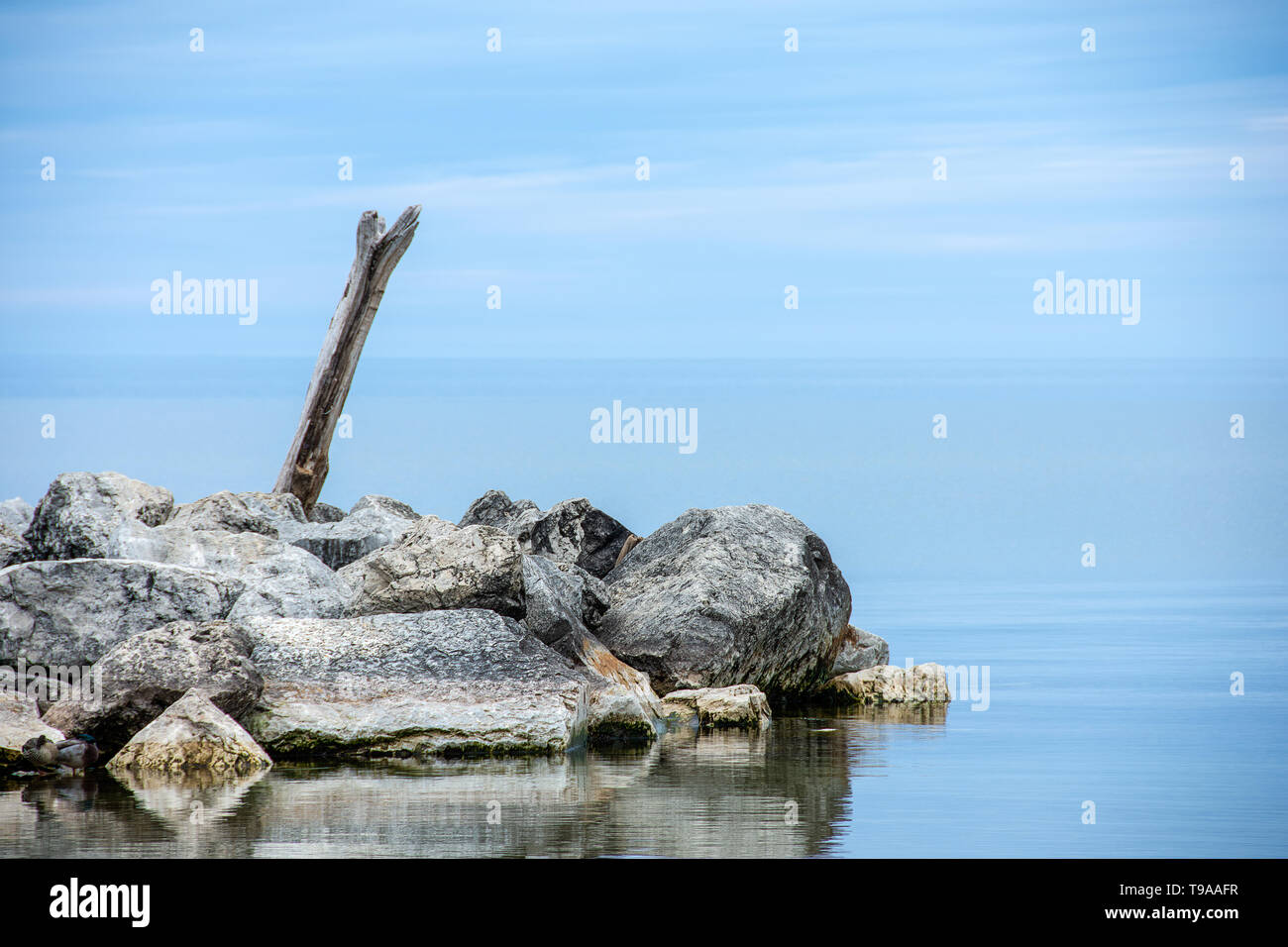 Driftwood log in rocce sul Lago Michigan costa con la riflessione di acqua Foto Stock