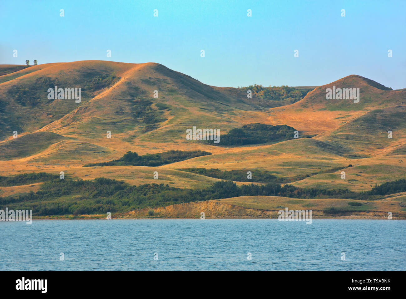 A sud del Fiume Saskatchewan e le colline ondulate di erba mista prairie Saskatchewan Landing Parco Provinciale del Saskatchewan, Canada Foto Stock