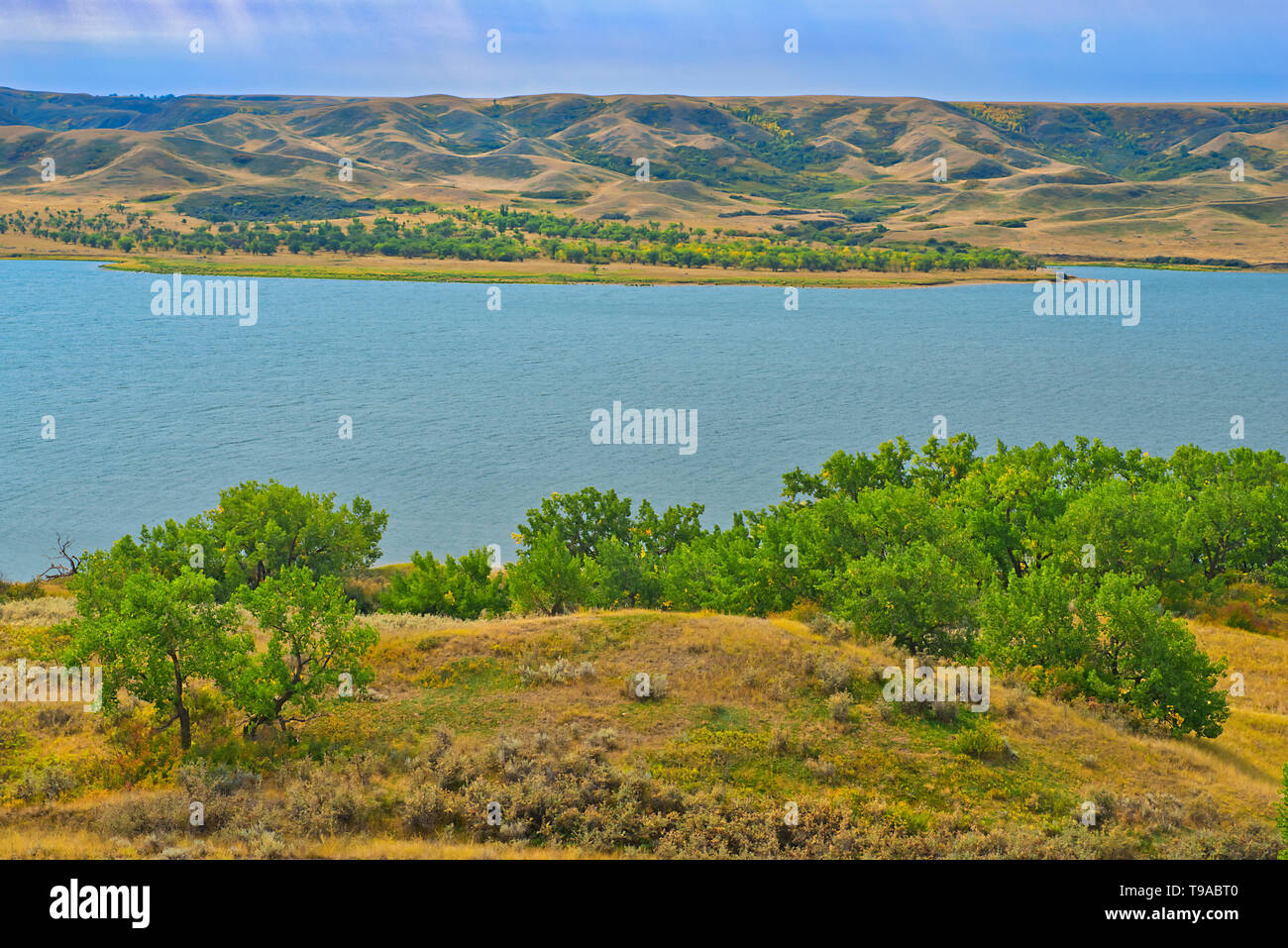 A sud del Fiume Saskatchewan e le colline ondulate di erba mista prairie Saskatchewan Landing Parco Provinciale del Saskatchewan, Canada Foto Stock