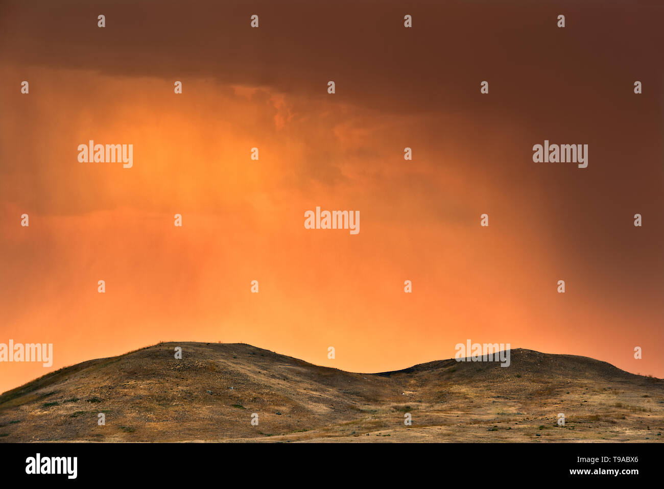 Luce di tempesta a alba sulle colline di mixed-erba nativo praterie prateria Parco Nazionale di Saskatchewan in Canada Foto Stock