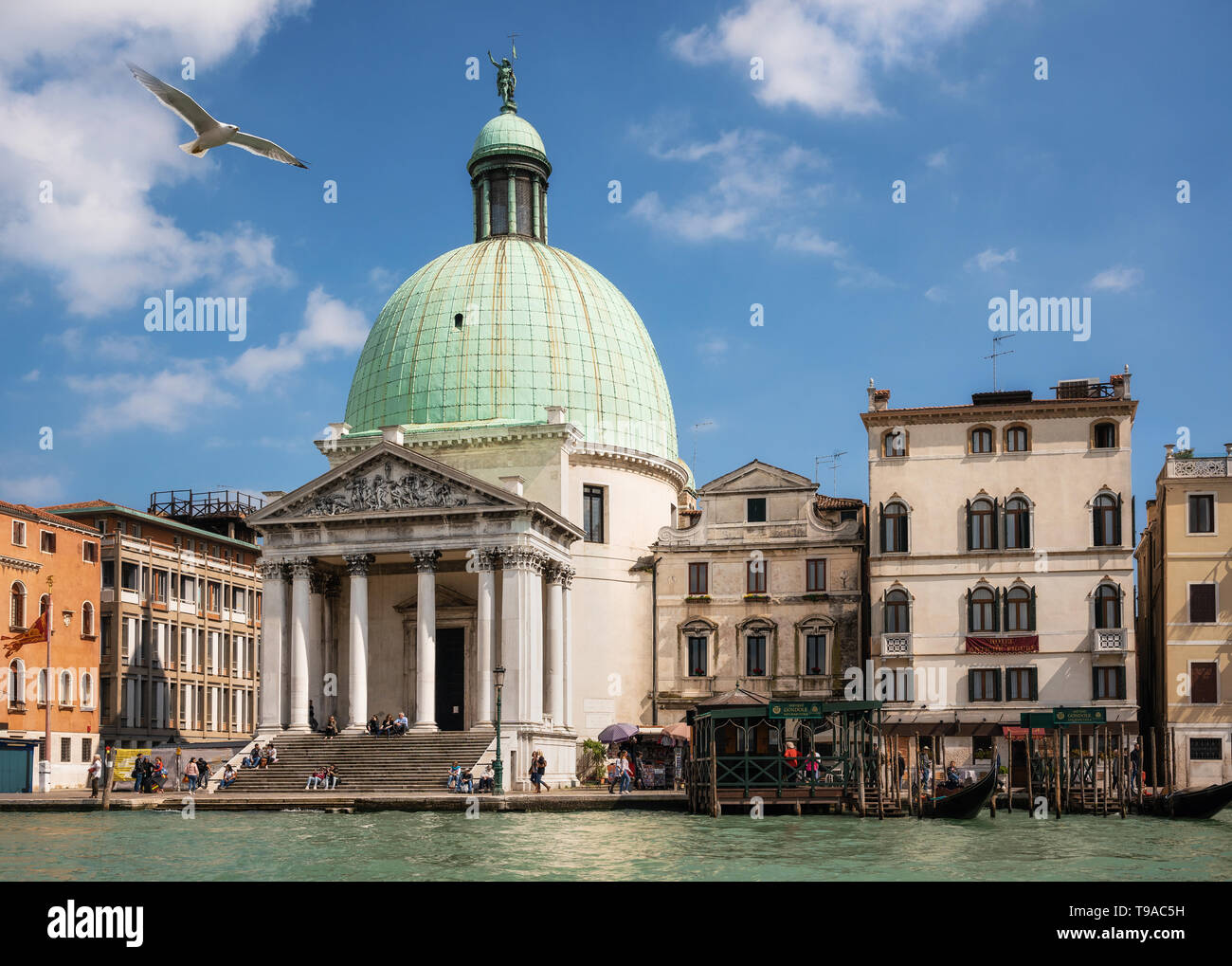 Venezia, Italia - 9 Maggio 2019: Seagull battenti contro la Basilica di Santa Maria della Salute su argini del Canal Grande di Venezia, Italia Foto Stock